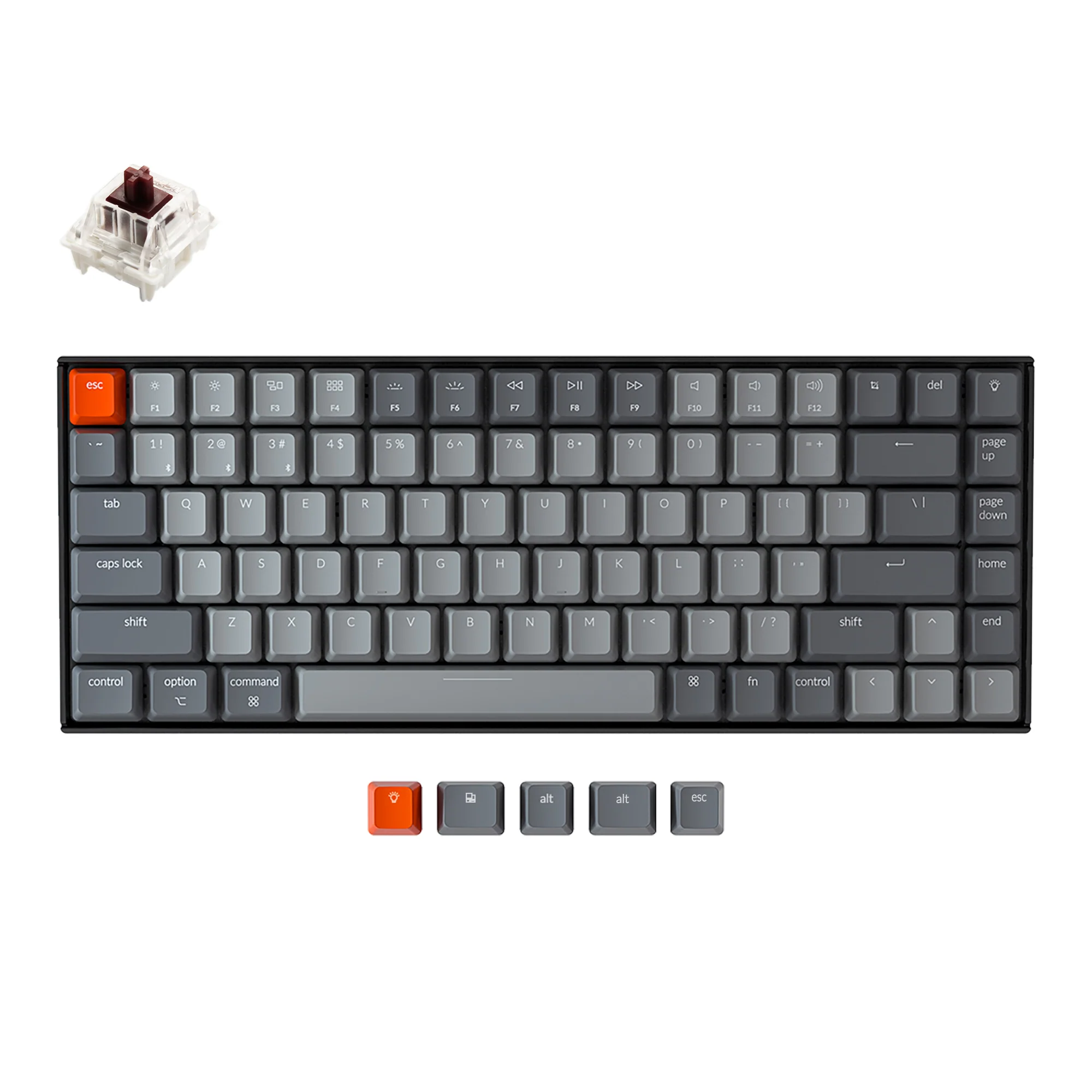 Thumbnail 6